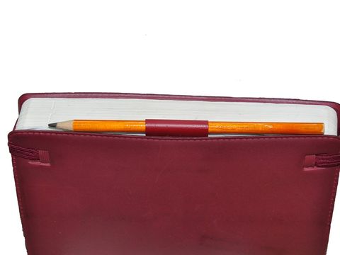 Closed red appointment diary with a pencil tucked into its pen loop