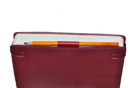 Closed red appointment diary with a pencil tucked into its pen loop